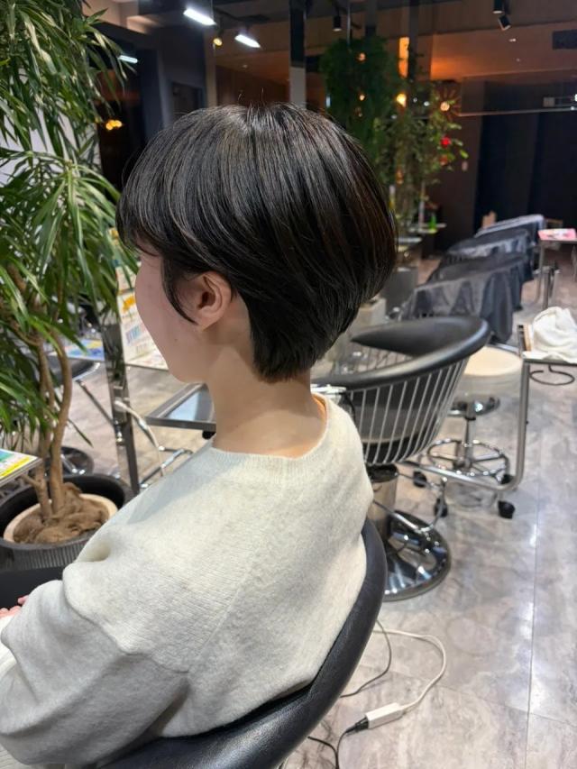 のスタイル画像