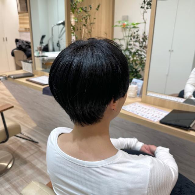 のスタイル画像