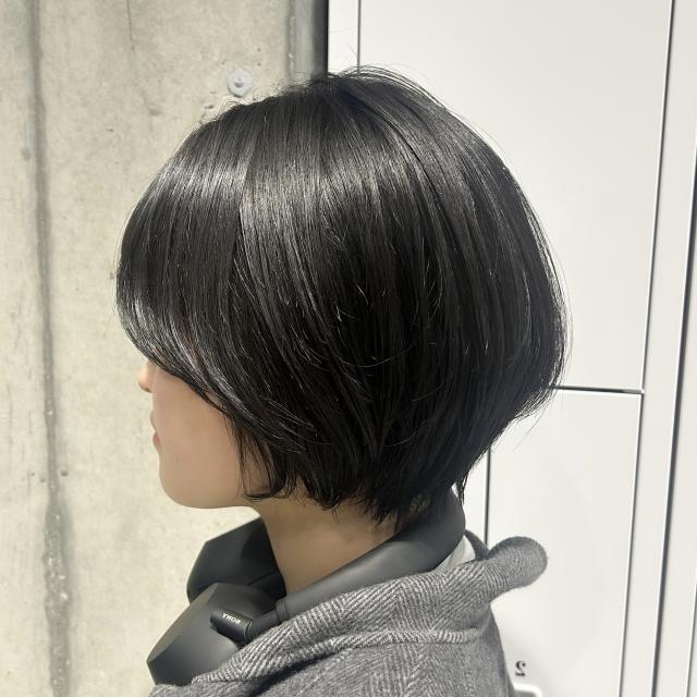 のスタイル画像