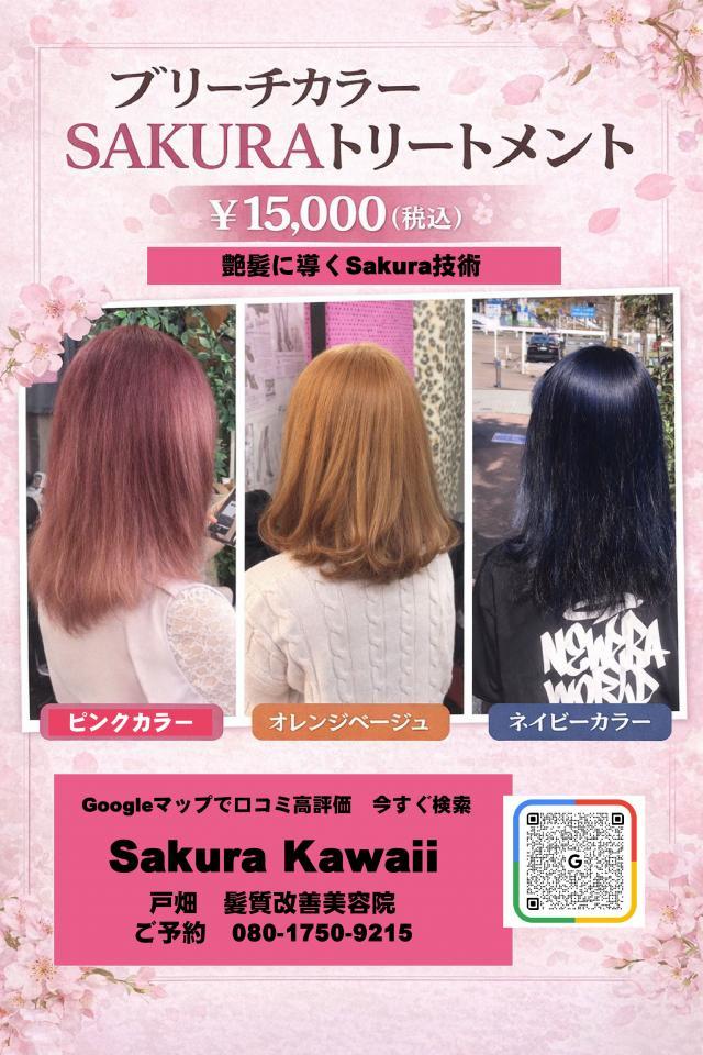 のスタイル画像