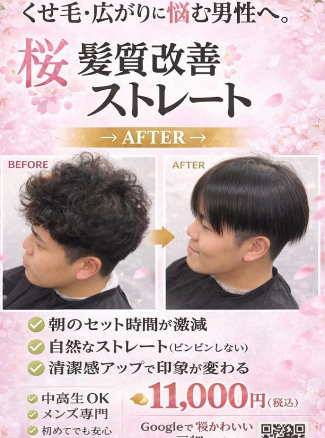 のスタイル画像