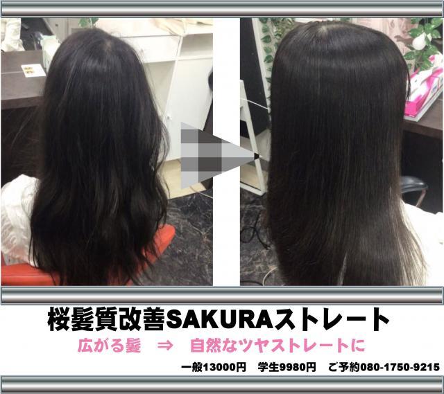 のスタイル画像