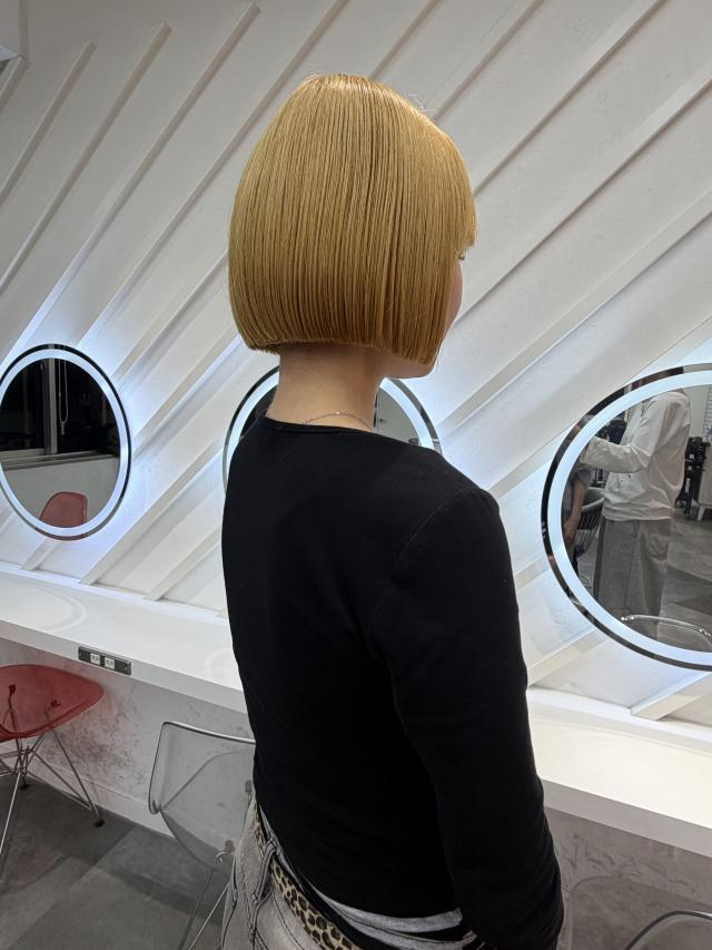 のスタイル画像