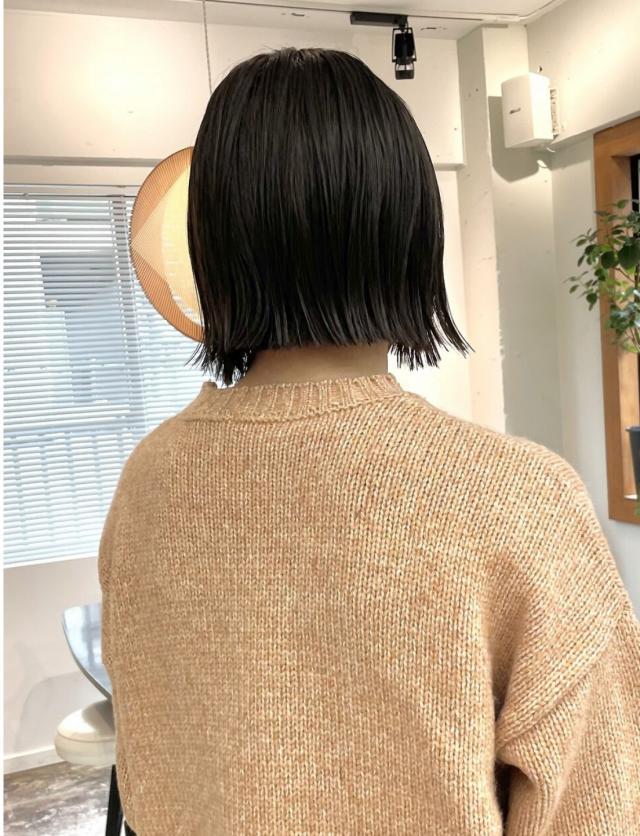 のスタイル画像