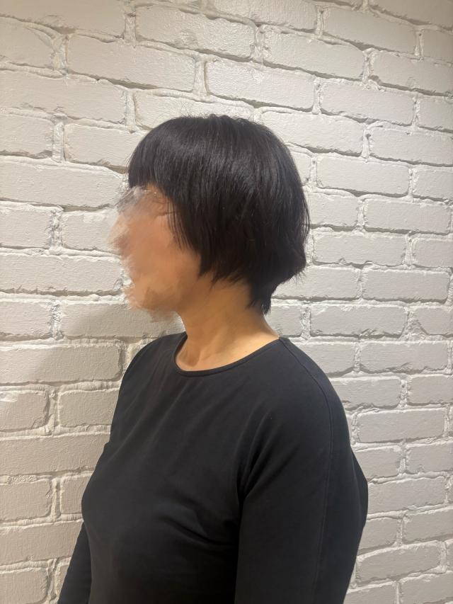 のスタイル画像