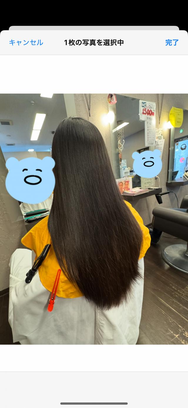 のスタイル画像