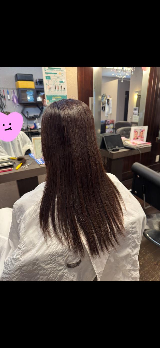 のスタイル画像