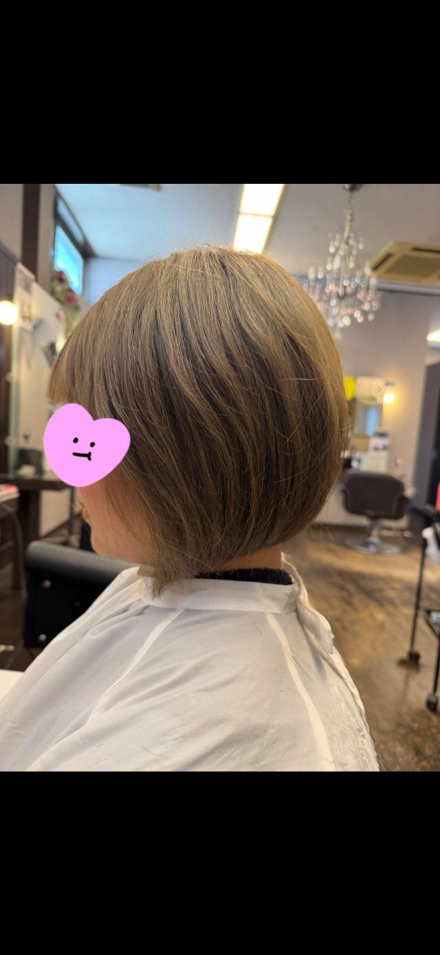 のスタイル画像