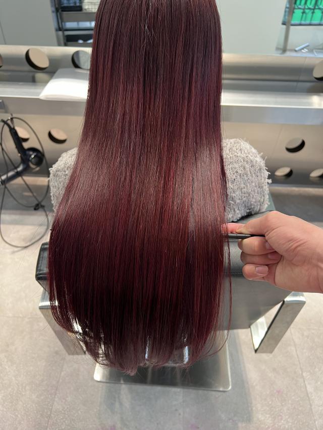 のスタイル画像