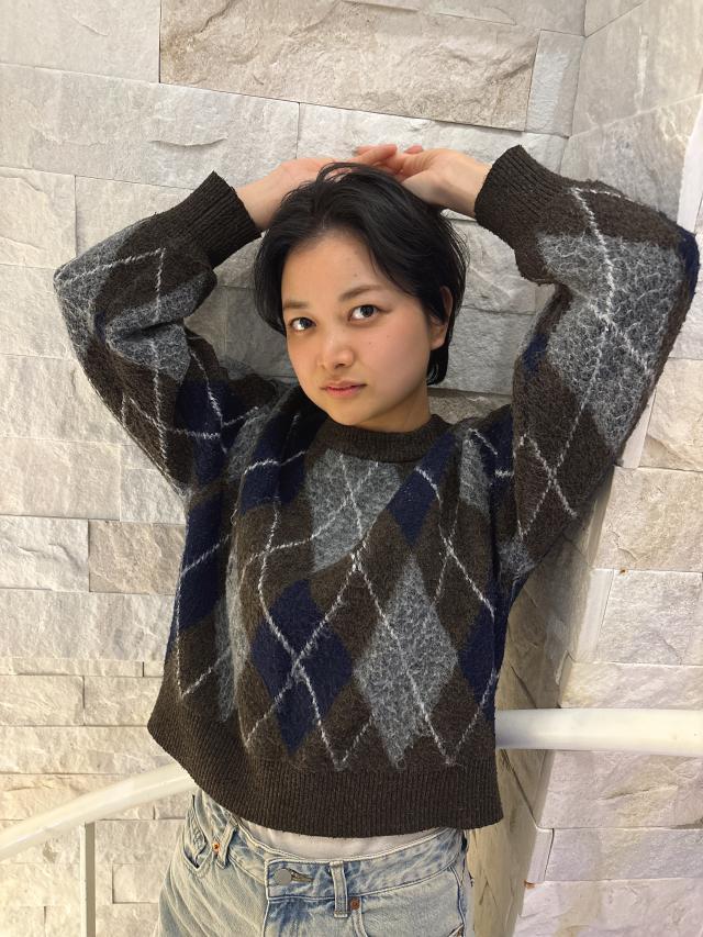 のスタイル画像