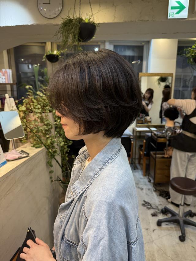 のスタイル画像