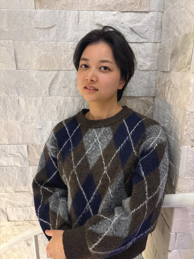 のスタイル画像
