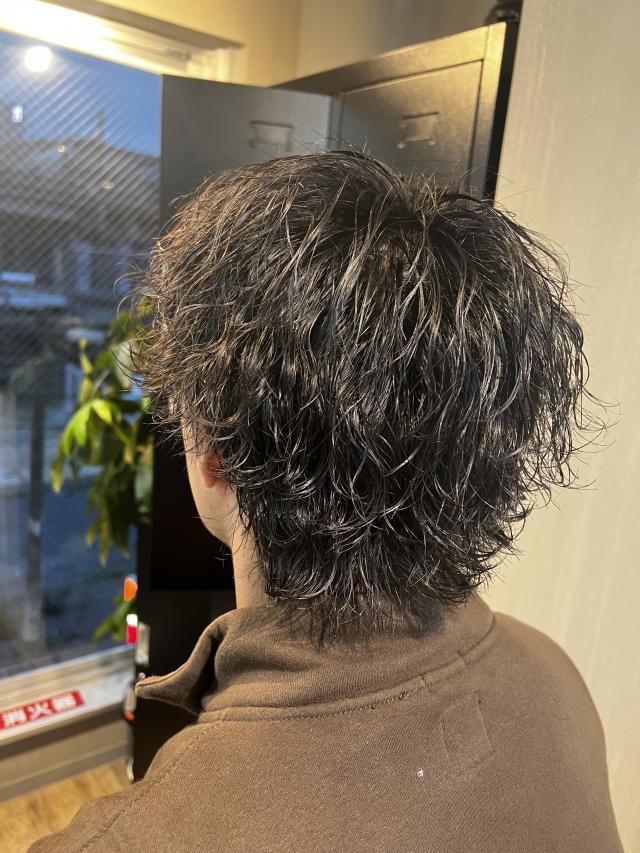 のスタイル画像