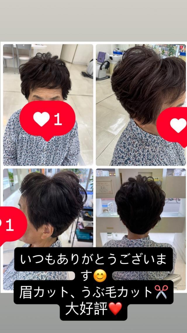 のスタイル画像