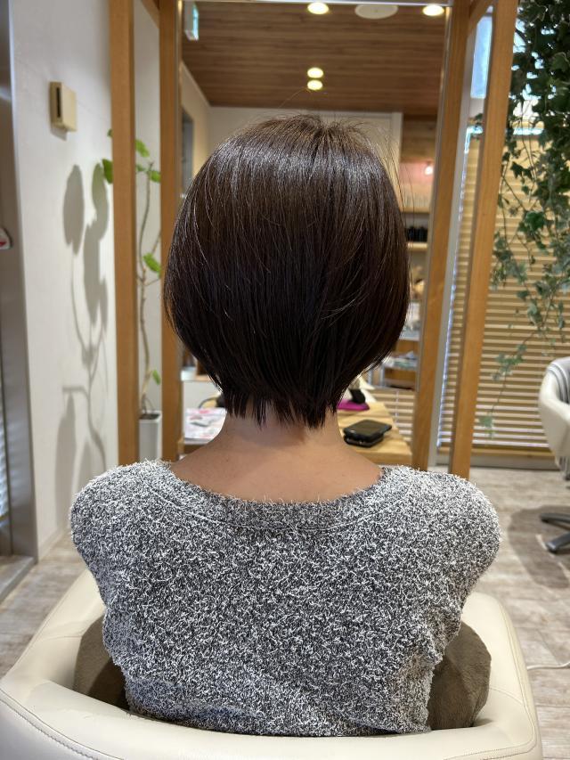 のスタイル画像