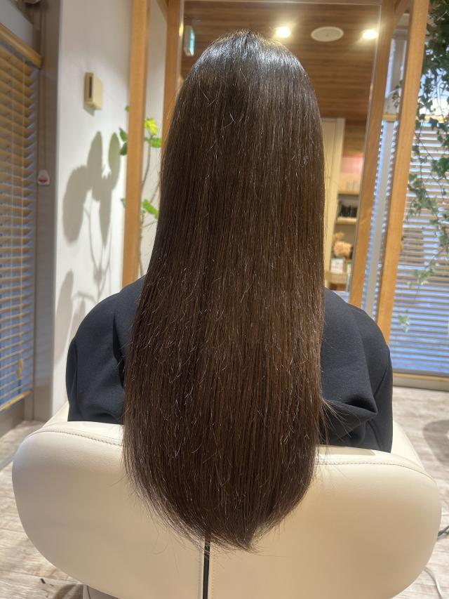 のスタイル画像