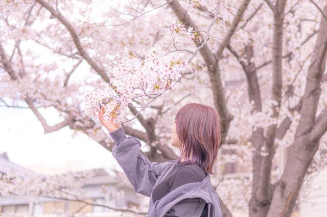 なこ