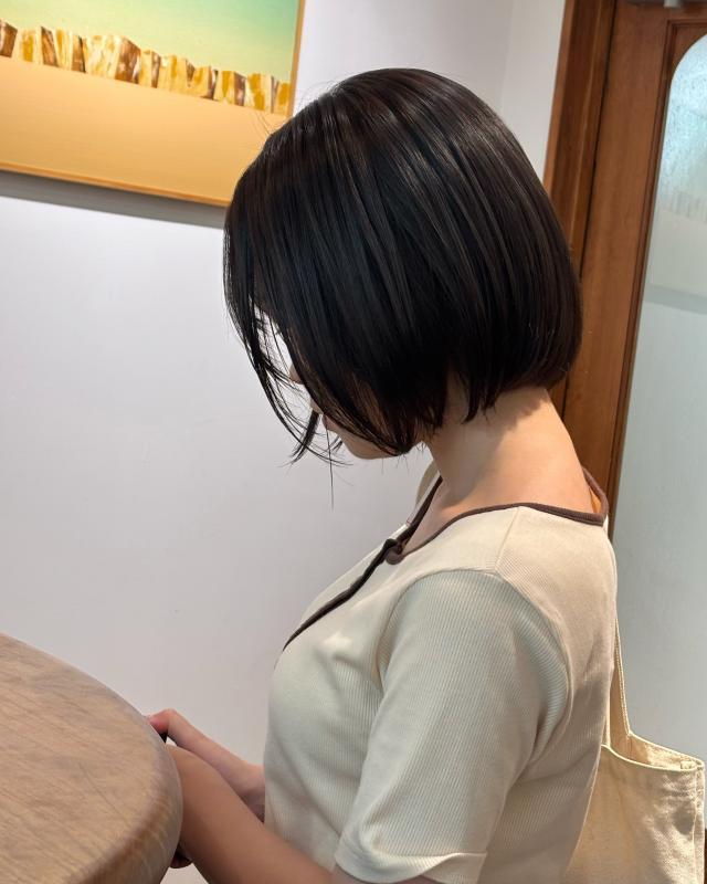 のスタイル画像