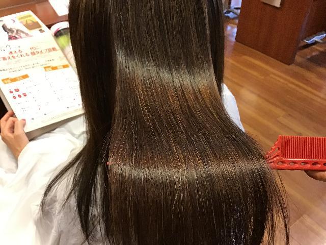 メニュー写真