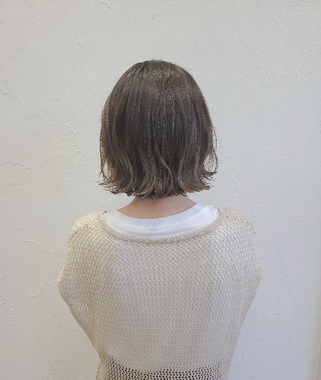 メニュー写真