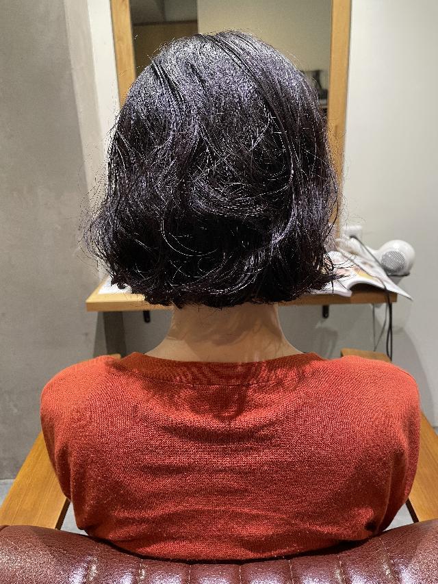 のスタイル画像