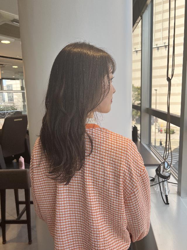 メニュー写真