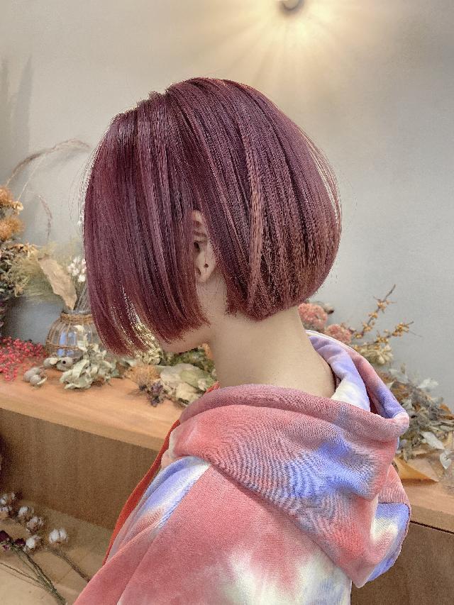 メニュー写真