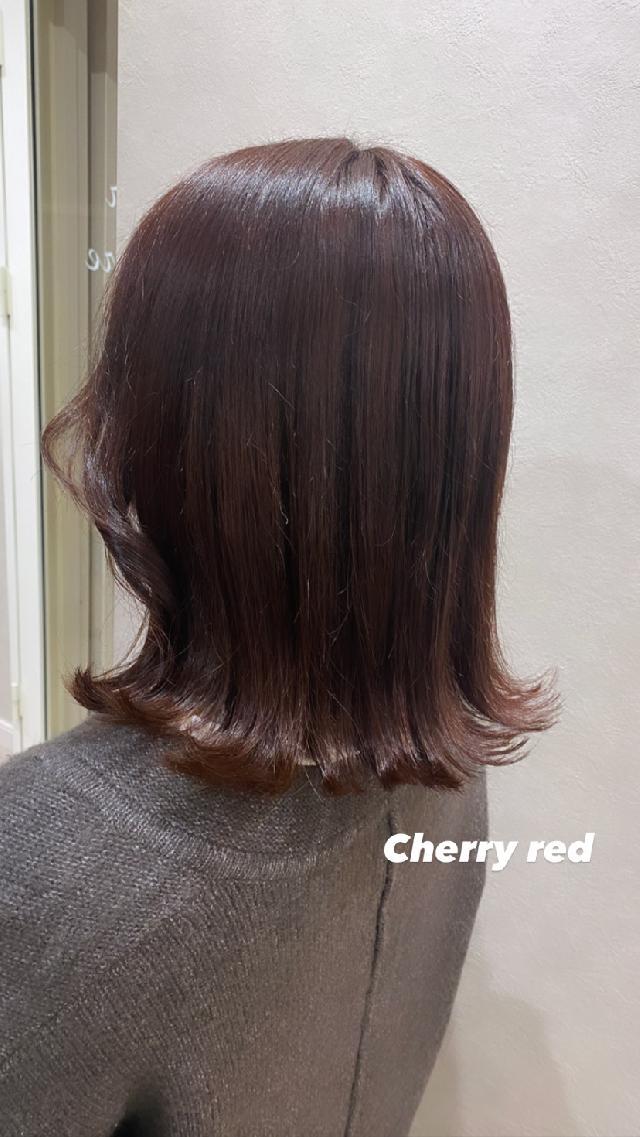 メニュー写真