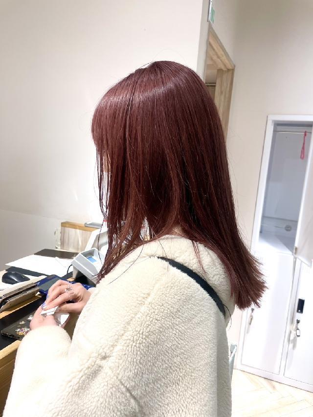 メニュー写真