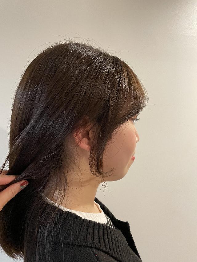 のスタイル画像