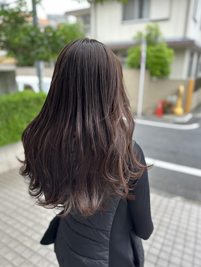 メニュー写真