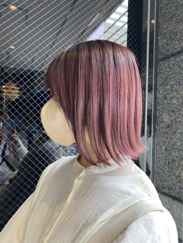 メニュー写真