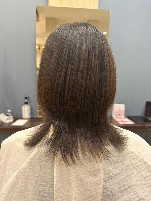 メニュー写真