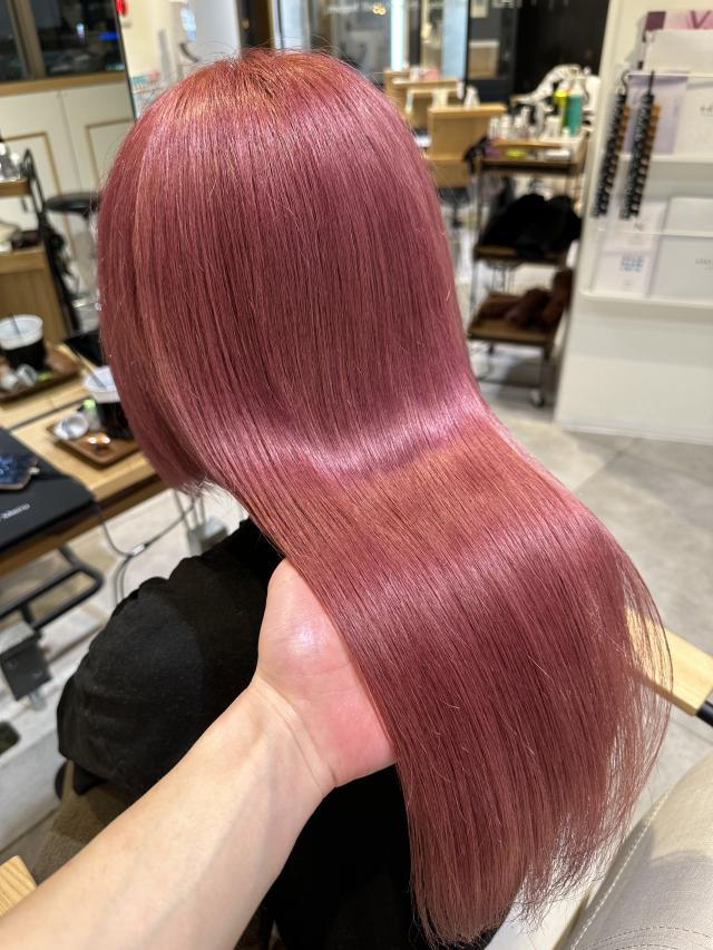 メニュー写真