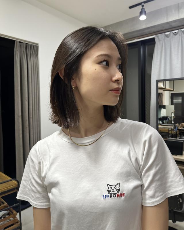 のスタイル画像