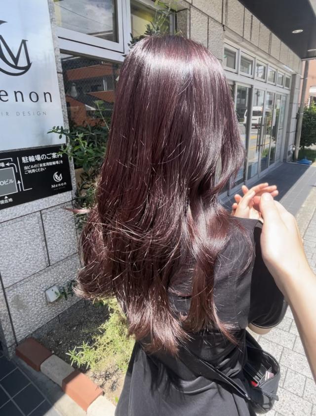 メニュー写真