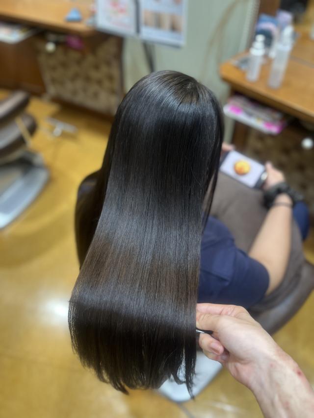 メニュー写真