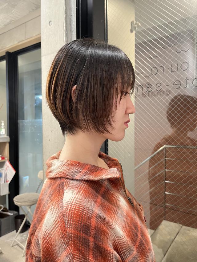 のスタイル画像