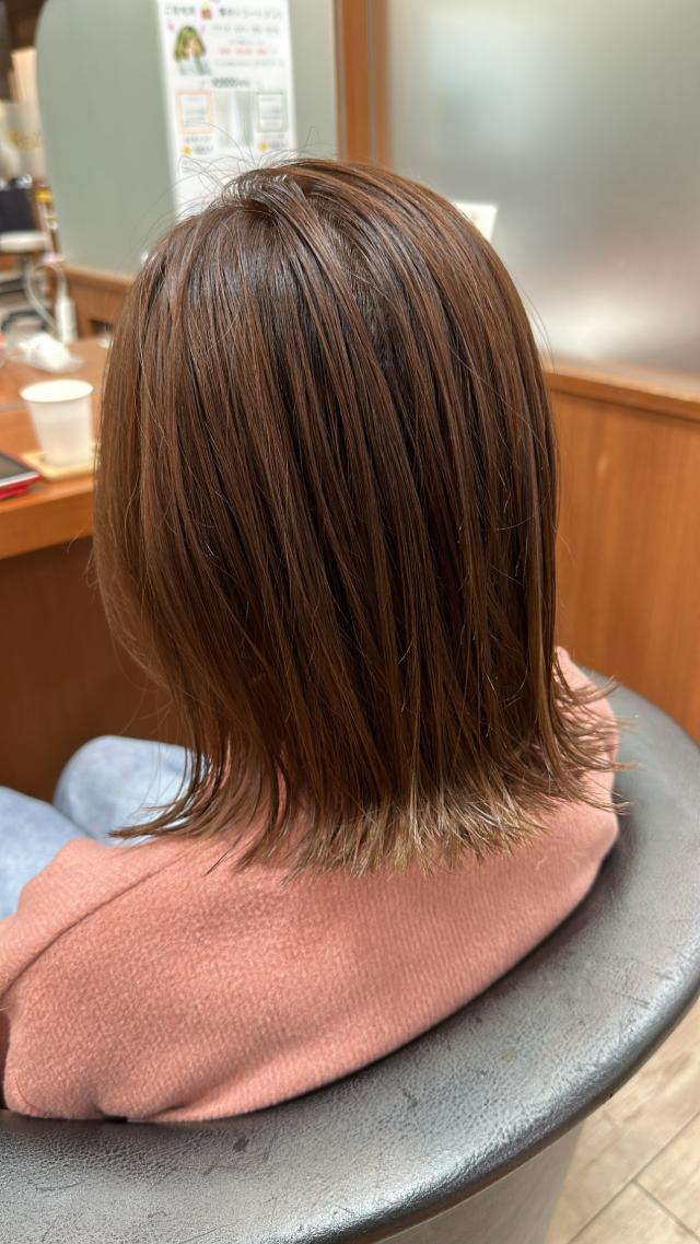 メニュー写真