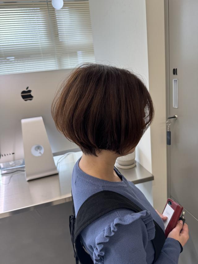のスタイル画像