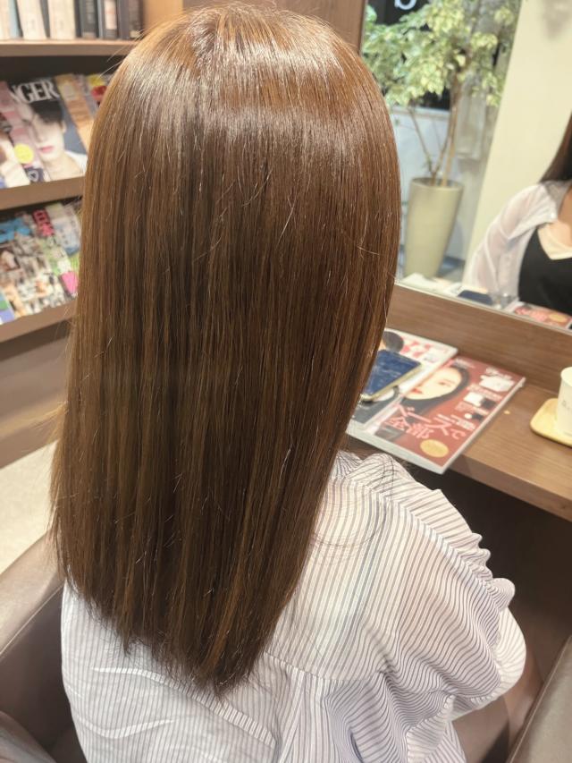 メニュー写真