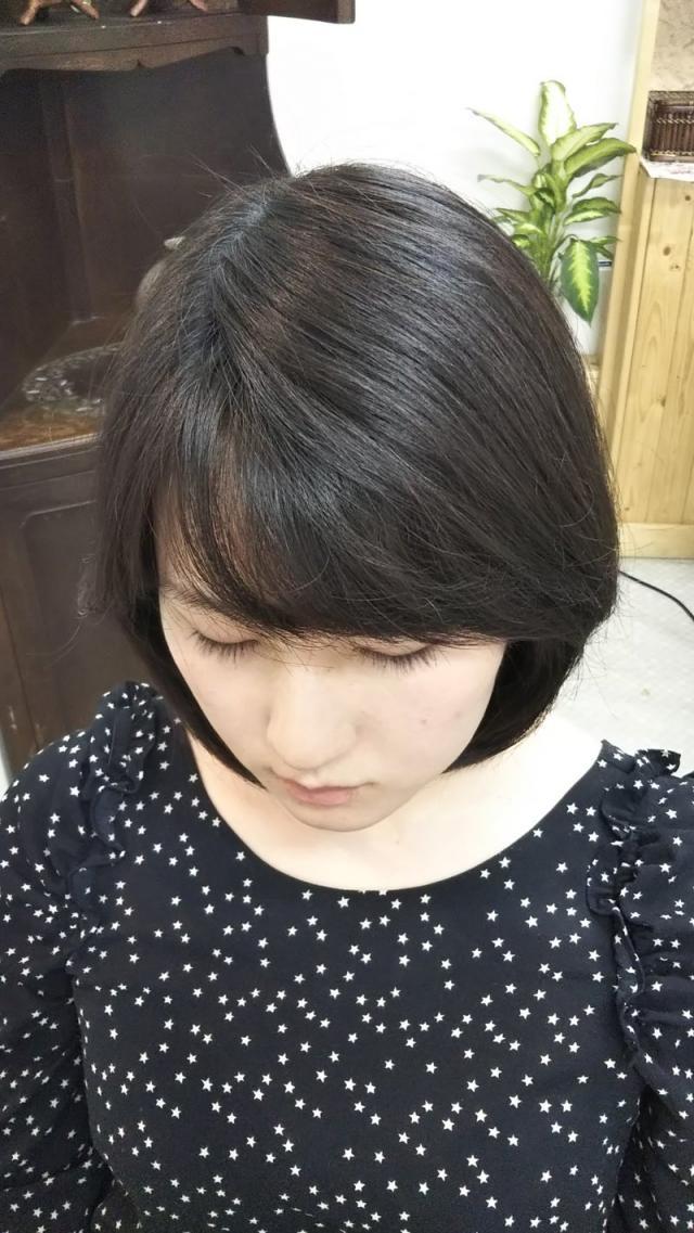 メニュー写真