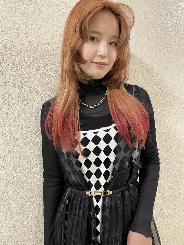 メニュー写真