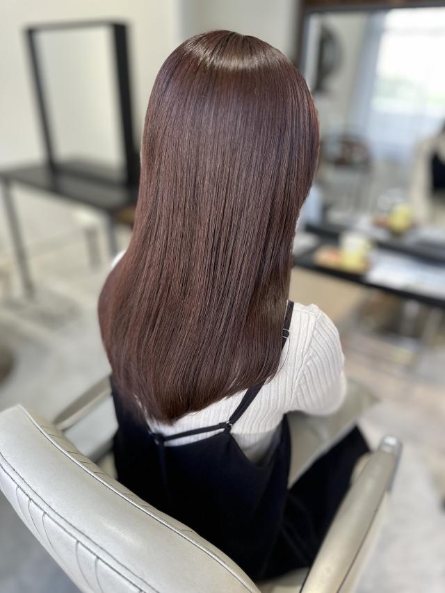 メニュー写真