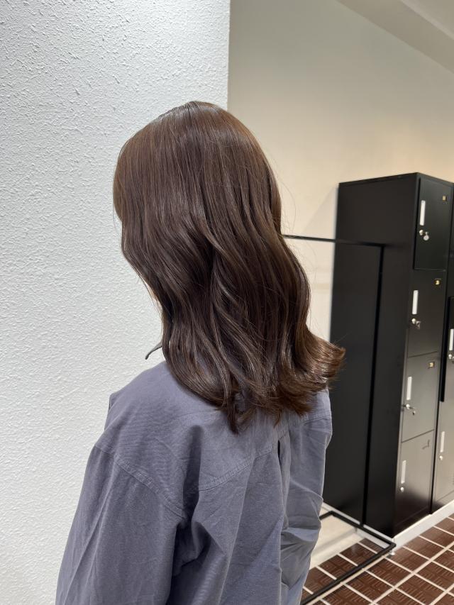 メニュー写真