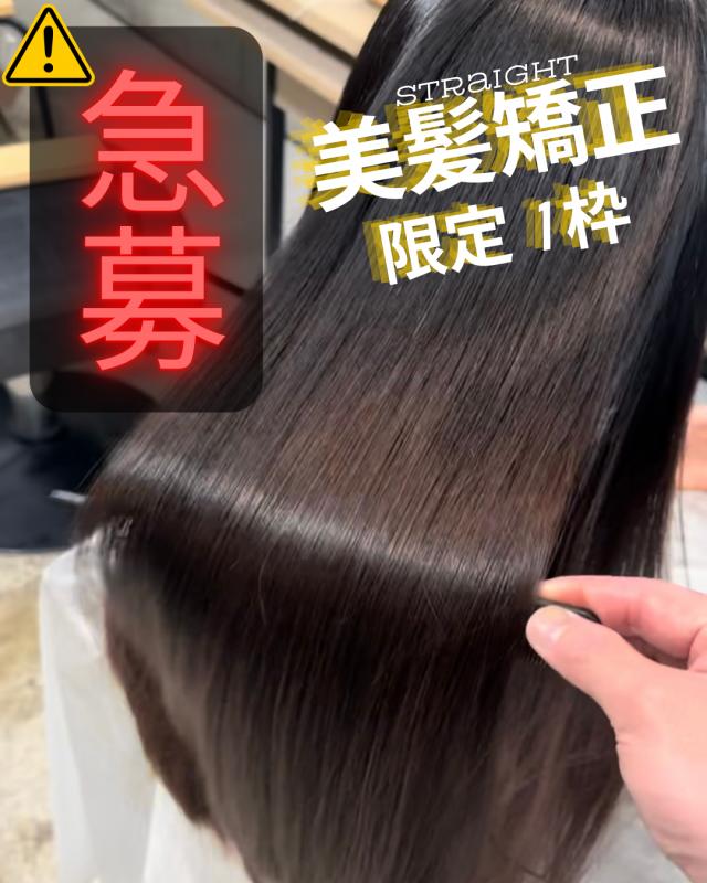 メニュー写真