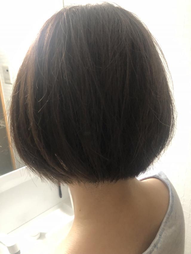 メニュー写真