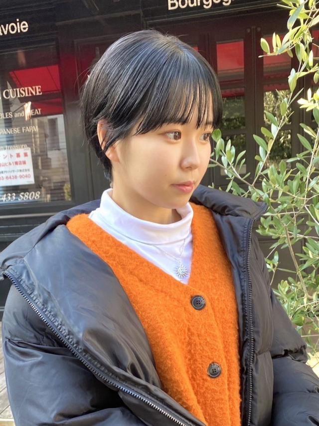 メニュー写真