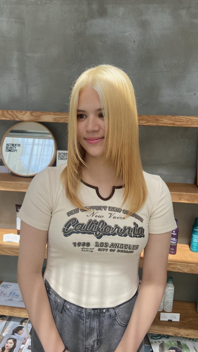 のスタイル画像