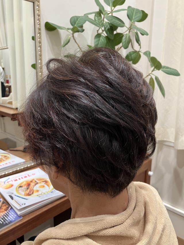 メニュー写真